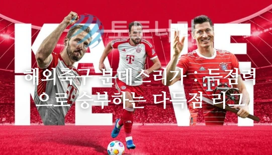 해외축구 분데스리가 : 득점력으로 승부하는 다득점 리그